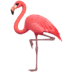 :flamingo: