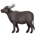 :water_buffalo: